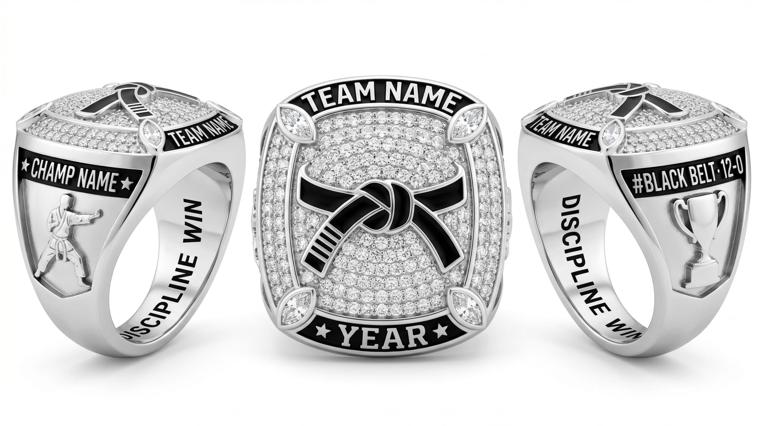 Division Champion martial arts championship ring full pave white crystal three-panel view — ClassRingAI