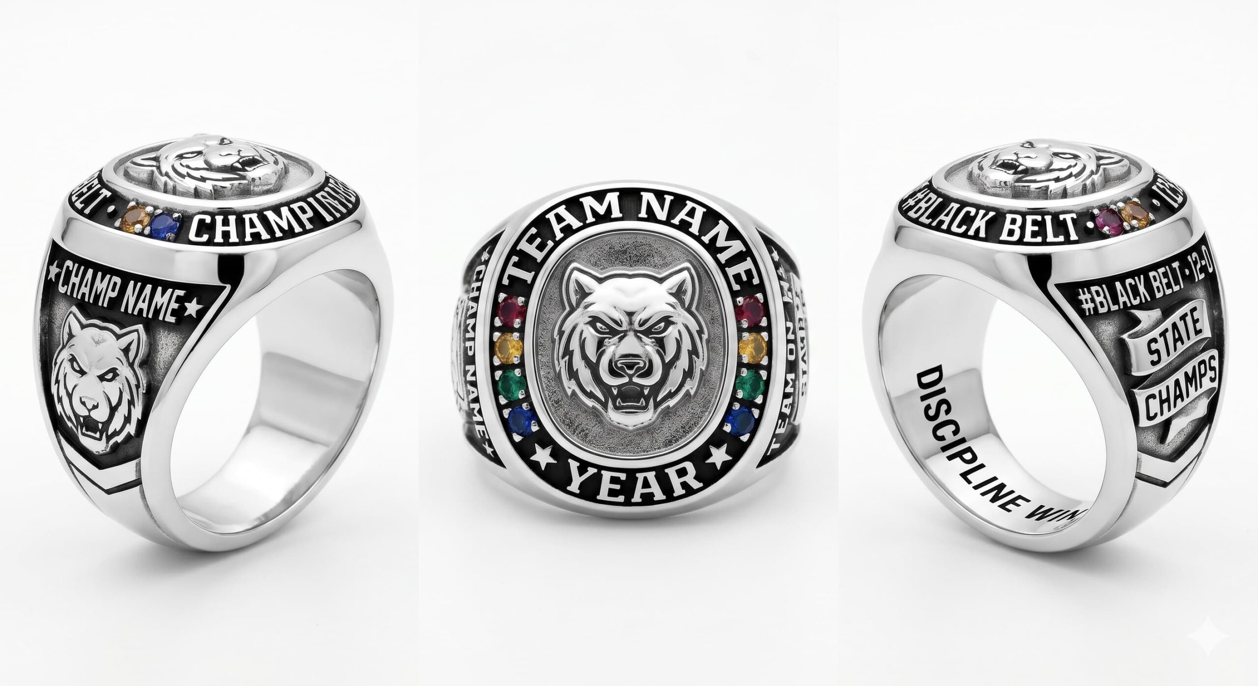 Tournament Elite martial arts championship ring mascot crest team colors three-panel view — ClassRingAI